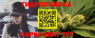 spice Аргун