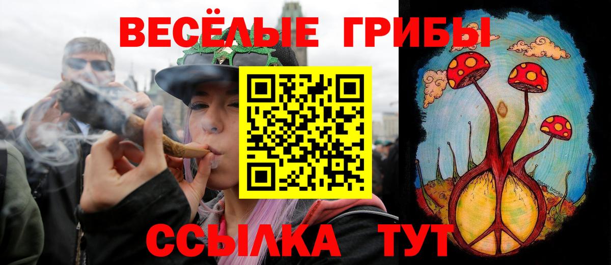 Псилоцибиновые грибы Cubensis Архангельск